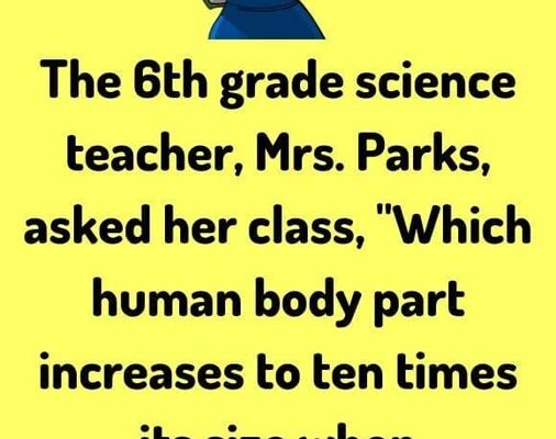 A Misunderstood Question and a Golden Lesson in Science Class